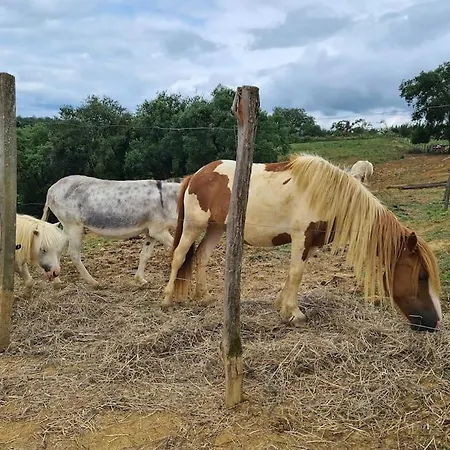 Corps De Ferme Labarthe A Prázdninový dům
